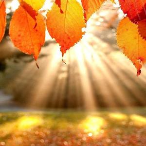 云时光（翻自 青云）