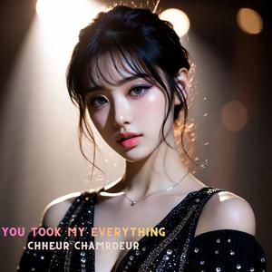 You Took My Everything