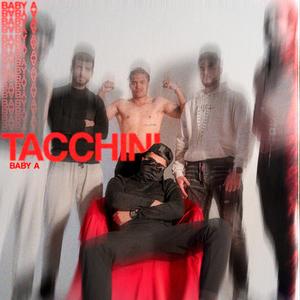 Tacchini