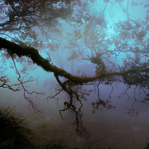 卡农（经典钢琴）