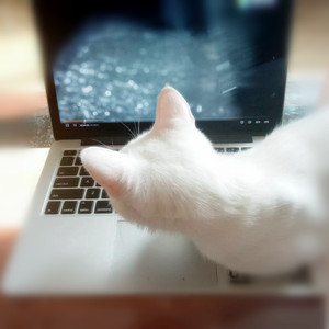 岁月神偷（Cover 金玟岐）