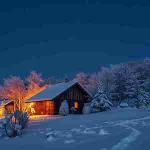 Playing Music And Observing