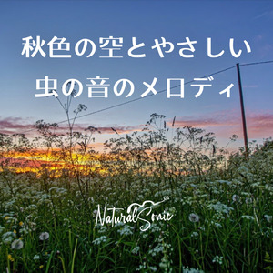 Insects’ Dream under the Stars