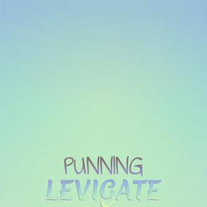 Punning Levigate