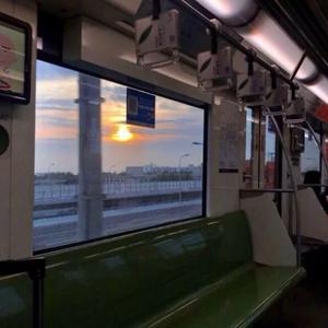 偷偷做个梦给你