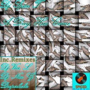 A Day Has Come (DJ Vice L Remix)