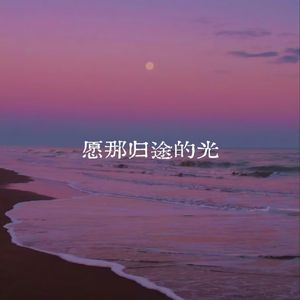 愿那归途的光