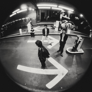 The Downfall (Stripped)