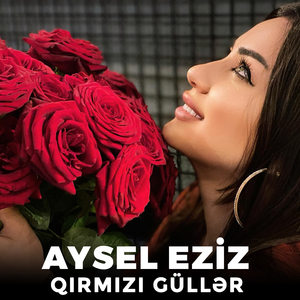 Qırmızı Güllər