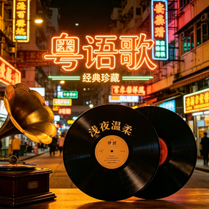浅夜温柔