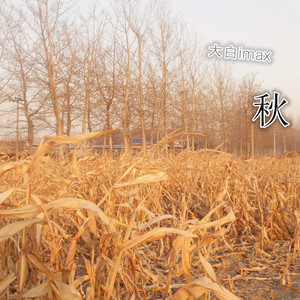 可不可以
