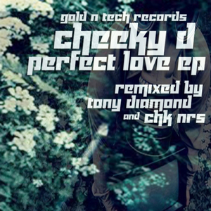 Perfect Love (Tony Diamond Remix)