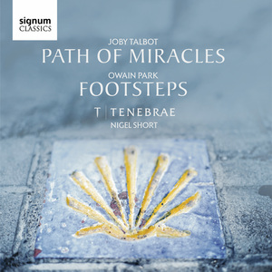 Path of Miracles:I. Roncesvalles