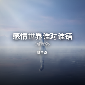 感情世界谁对谁错