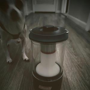 Don't It Look Like Rain