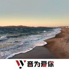 白月光与红玫瑰 (DJ版)