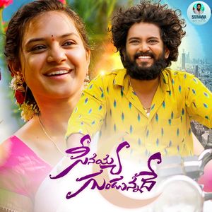 Seenayya Gundunnadhe