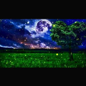 Yulduz va yalt'roq(星星与萤火虫)