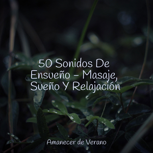 Melancolía del Paisaje de Murmullos de Medianoche