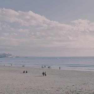 青春就这young（cover）