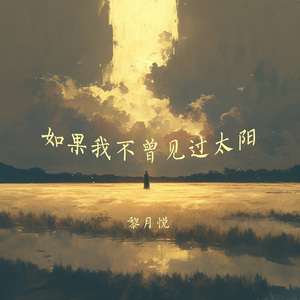 如果我不曾见过太阳 (夜晚版)