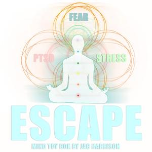 Nature in the Spring