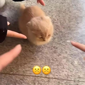 A Fari Spenti (sped up)