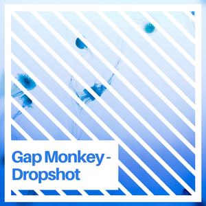 Dropshot
