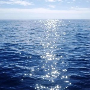 海运