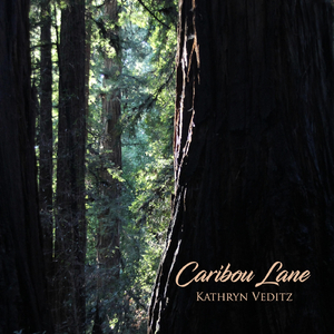 Femtiotre År / Andy's Jig