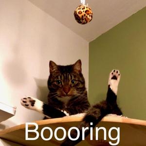 Boooring