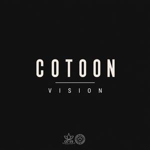 Vision