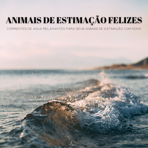 Atmosfera Serena Para Gatos