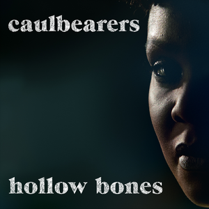 Hollow Bones (Schwärmer Mix)