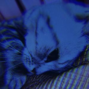 【FREE】このまま