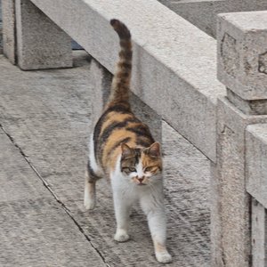 丘间风月迟.wav