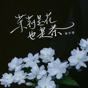茉莉是花也是茶 (DJ小蒋版)