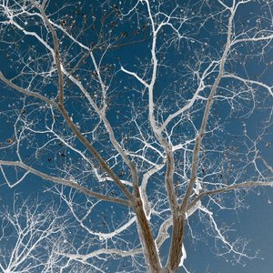 坏天气 总会放晴