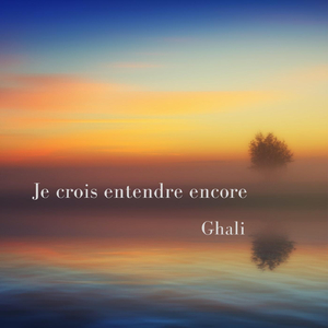 Je crois entendre encore (From the Opera "Les Pêcheurs de perles")