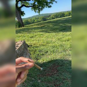 No Strings Attached Freestyle