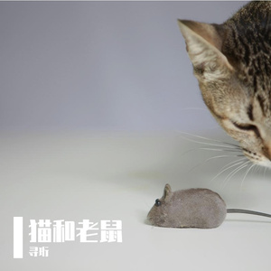 《汤姆与杰瑞》