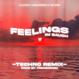 feelings im bauch (feat. treason434) [extended techno remix]