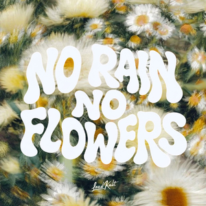 NO RAIN NO FLOWERS
