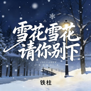 雪花雪花请你别下