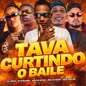 Tava Curtindo o Baile