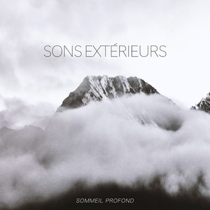 Birds in the Background