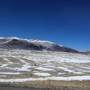 手嶌葵-The Rose 改编（LC小虾米 remix）