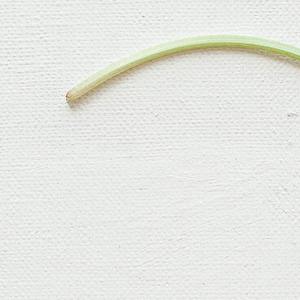 松栽