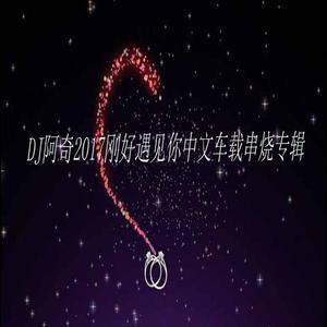 2017刚好遇见你中文车载串烧