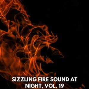 Darkest Summer Forest